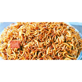 Sâu Gạo Sấy Khô