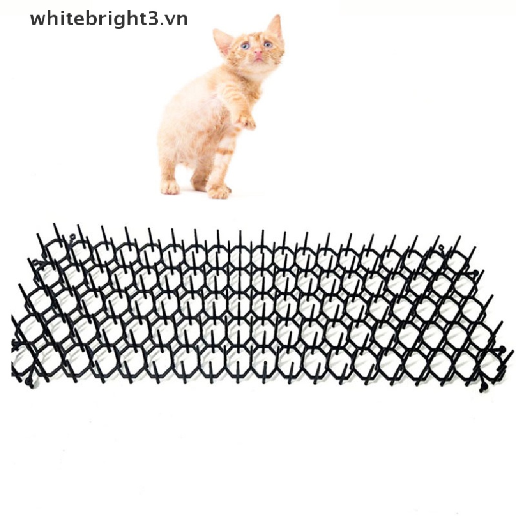 Bộ 3 Dây Gai Ngăn Mèo Phá Vỡ Khu Vườn