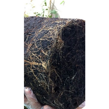 Phân bón hữu cơ sinh học oganic áo humic túi 1kg chuyên dùng cho cây kiểng rau màu