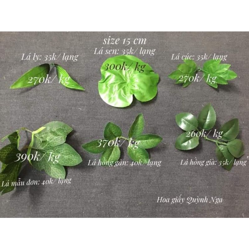 Điểm lá theo cọng