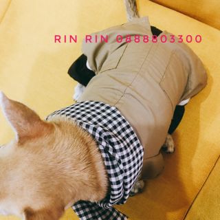 Áo nông dân cho chó mèo