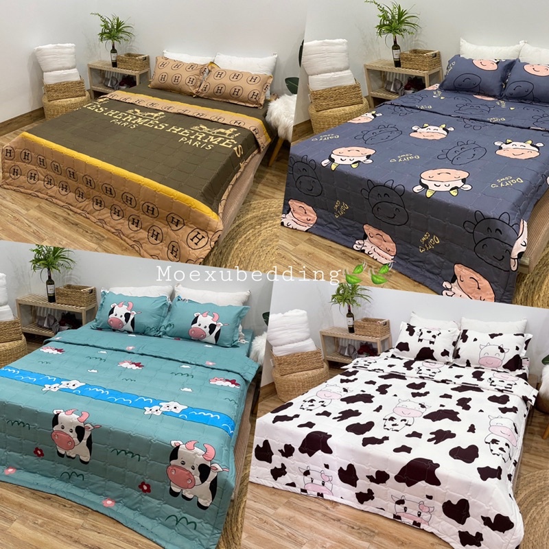 Chăn hè 3 lớp cotton đũi poly mềm mịn mát 1m9x2m1 hoạ tiết đáng yêu dùng cho mùa xuân hạ thu