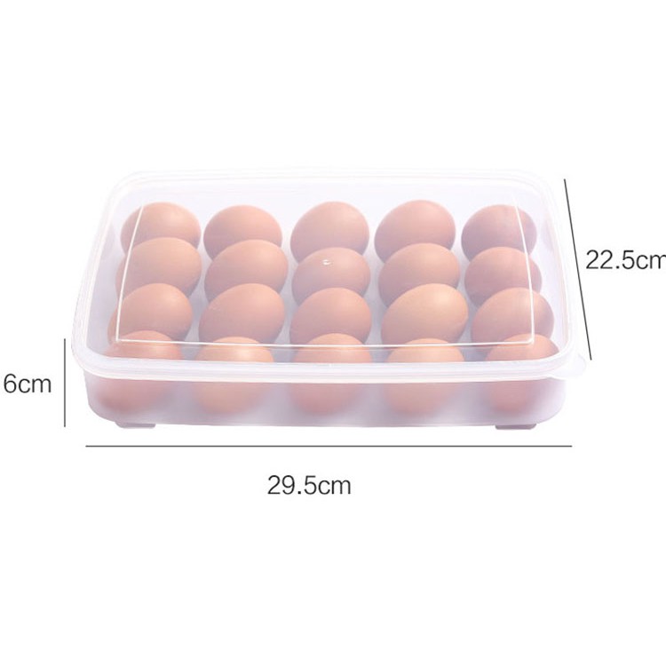 Hộp đựng trứng gà, trứng vịt 24 quả