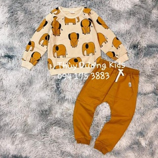 Bộ nỉ da cá Hm voi nâu tây xuất dư cho bé trai