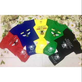 Set cộc 5 bộ