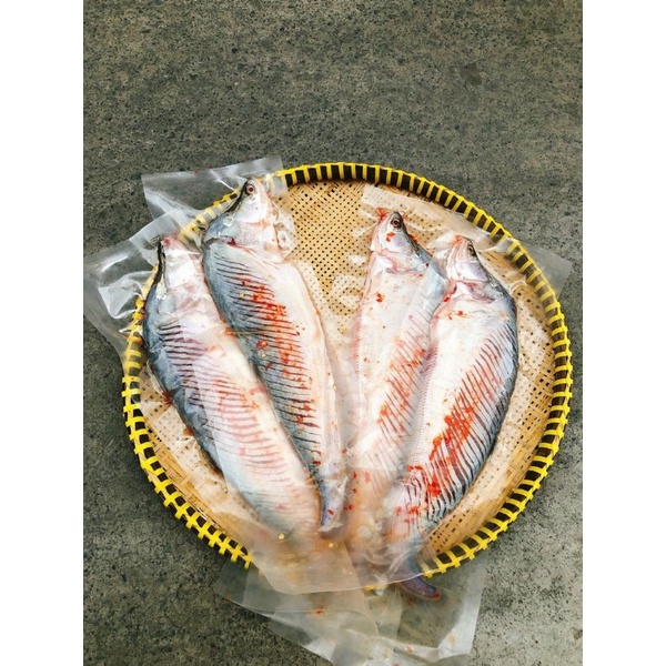 1 KÍ 4 CON🐠🐠CÁ THÁC LÁC RÚT XƯƠNG 🐠🐠 GIAO HỎA TỐC HCM