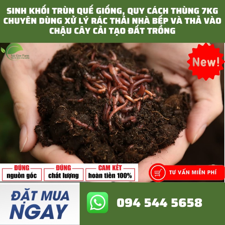 Thùng 7KG Sinh Khối Trùn Quế (Con Giống) - Chuyên Dùng Xử Lý Rác Thải Nhà Bếp Và Thả Vào Chậu Cây Cải Tạo Đất Trồng