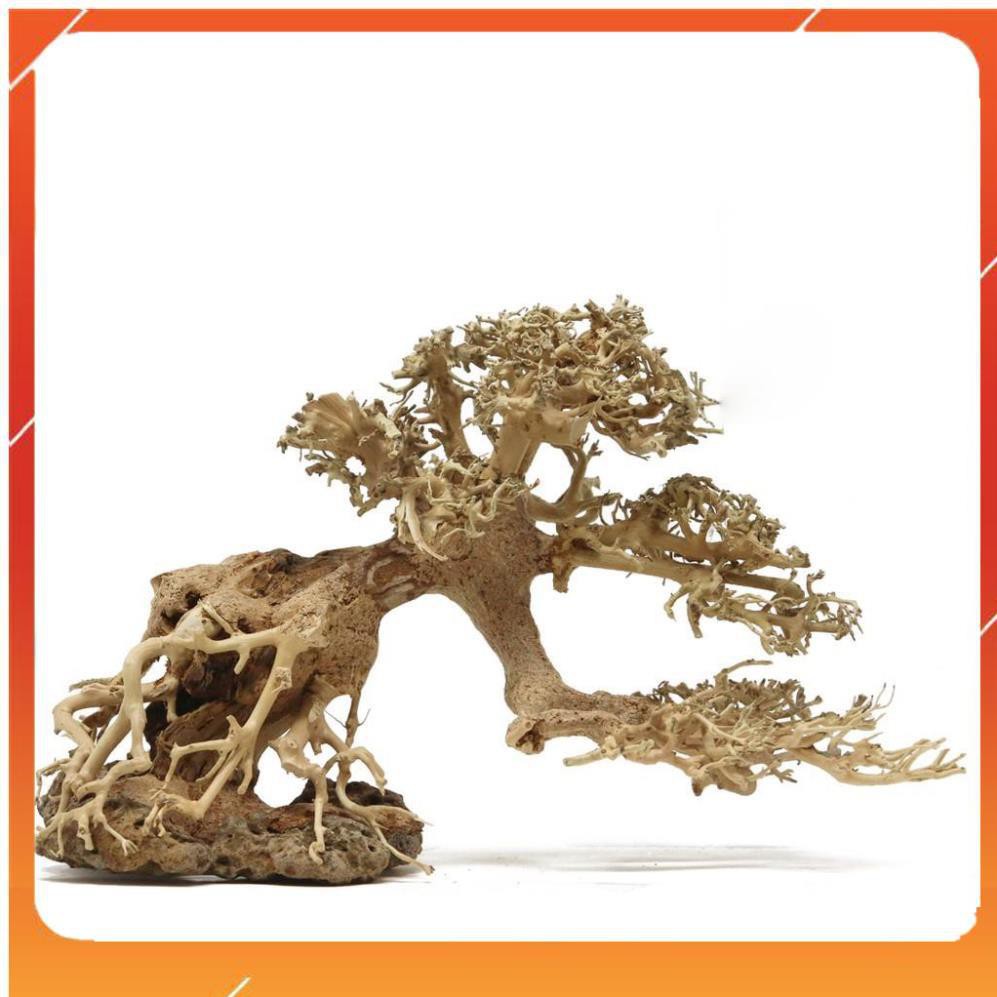 [Siêu Rẻ] Lũa Bonsai mini cho bể cá thủy sinh [TS Online37]