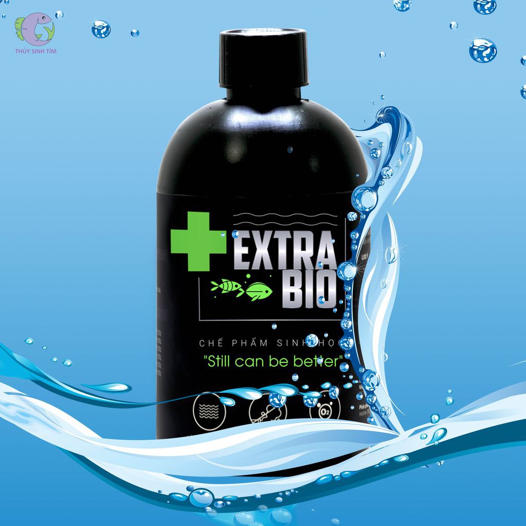Vi sinh Extra Bio xử lý nước hồ cá