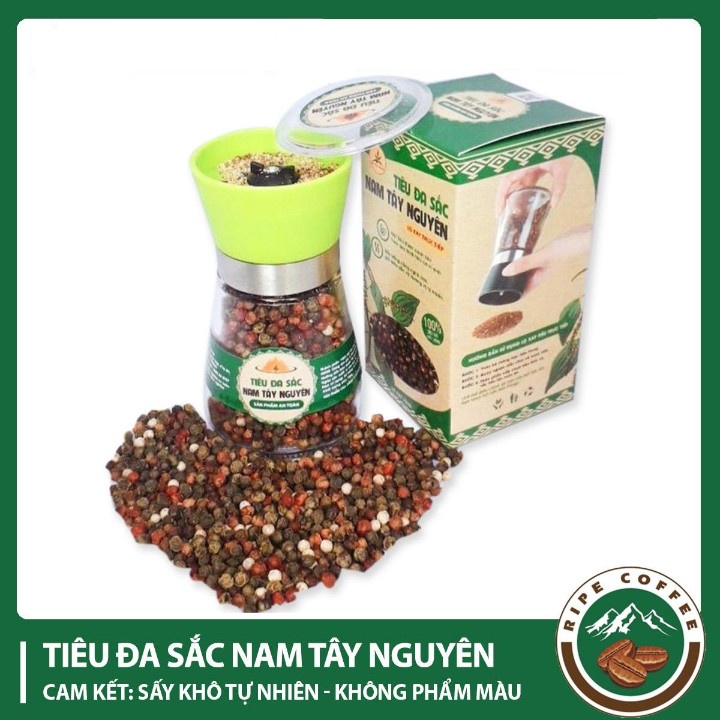 Tiêu đa sắc Nam Tây Nguyên - Lọ xay trực tiếp