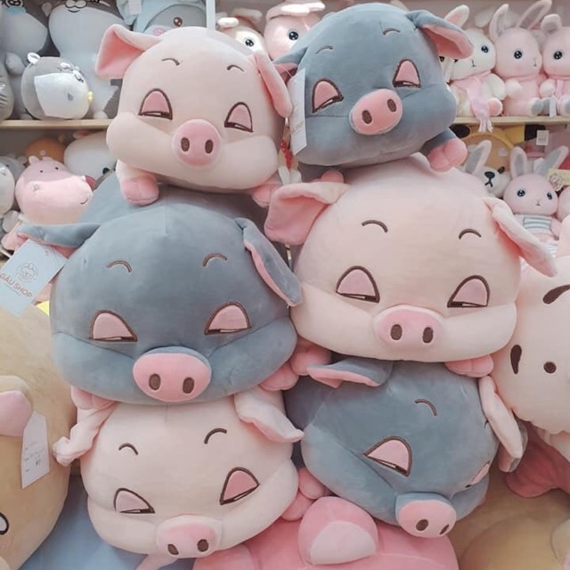 Lợn bông ôm