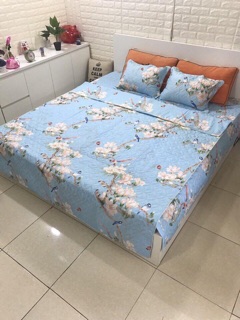 SET CHĂN GA GỐI COTTON POLY TRẦN BÔNG
