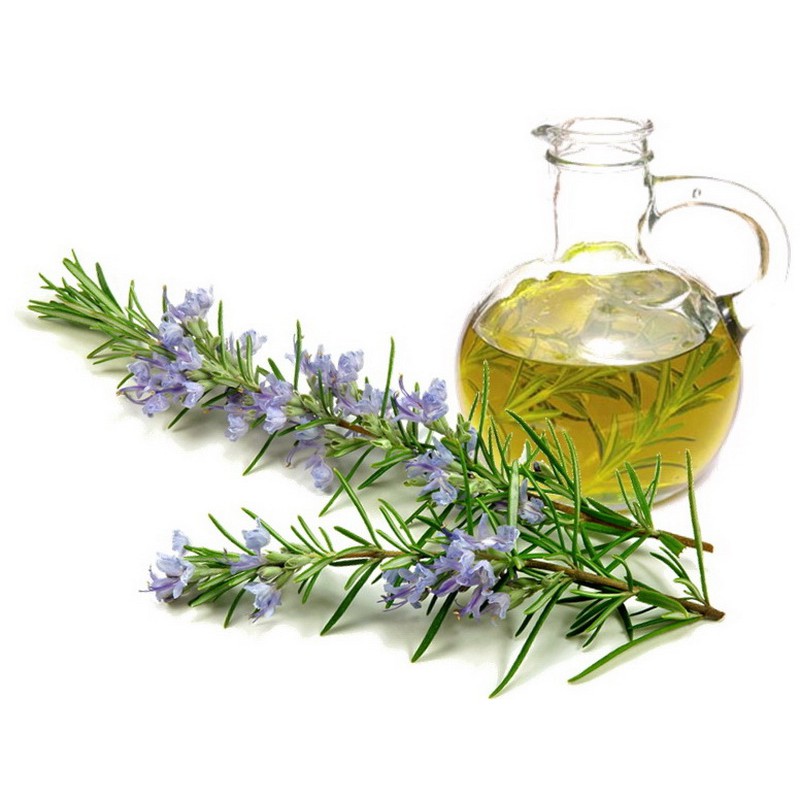 Tinh Dầu Nguyên Chất Hương Rosemary THERAPY