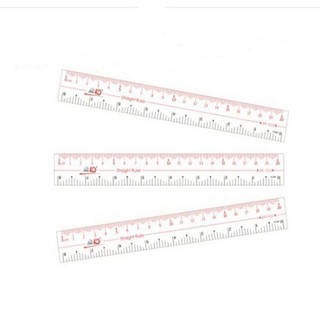 2 cây Thước Dẻo Trong Suốt 20cm Điểm 10 TP-SR022