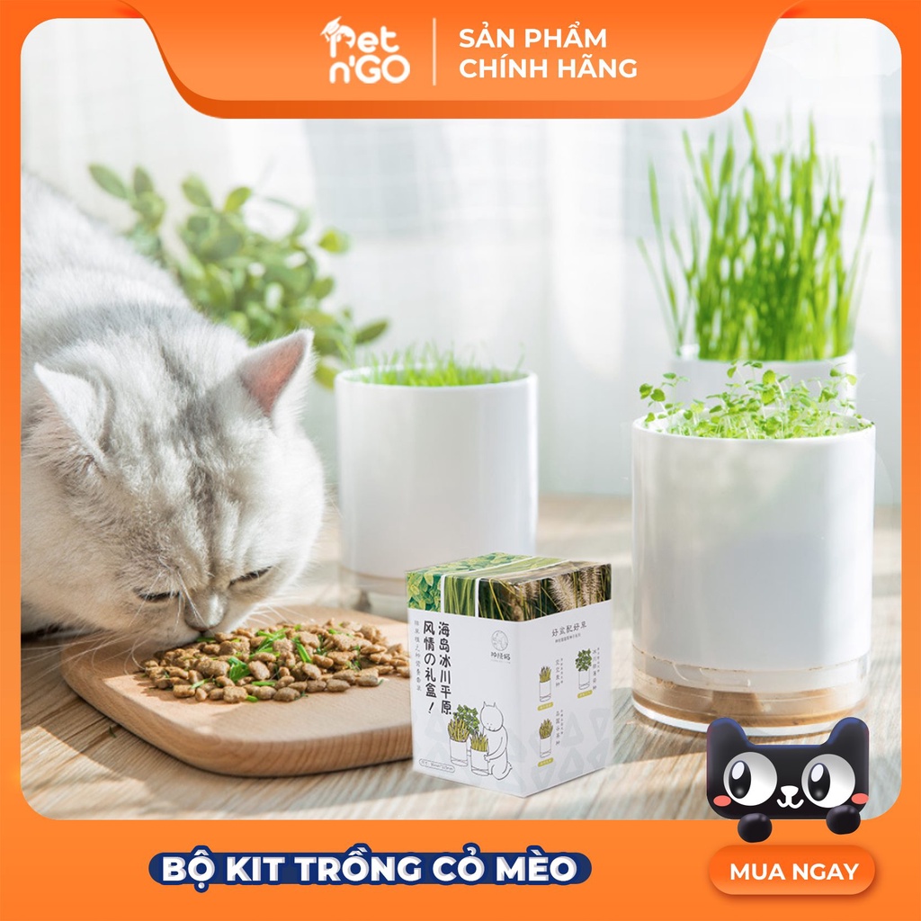 Bộ Kit Trồng Cỏ Pet N' Go Mix 3 Loại Hạt Dành Cho Mèo