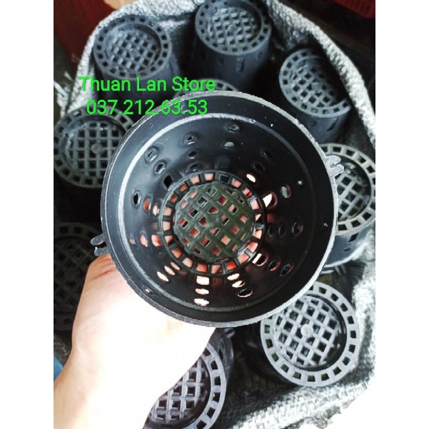 Set 10c Chậu Nhựa Trồng Lan Nhiều Lỗ F10