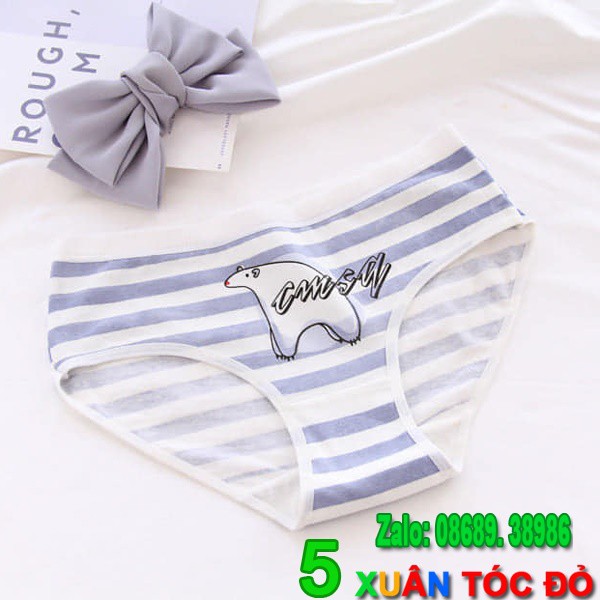 SỈ ZALO RẺ HƠN NHIỀU_ Quần Lót Gấu Trắng Bắc Cực Siêu Đẹp 5079 | BigBuy360 - bigbuy360.vn