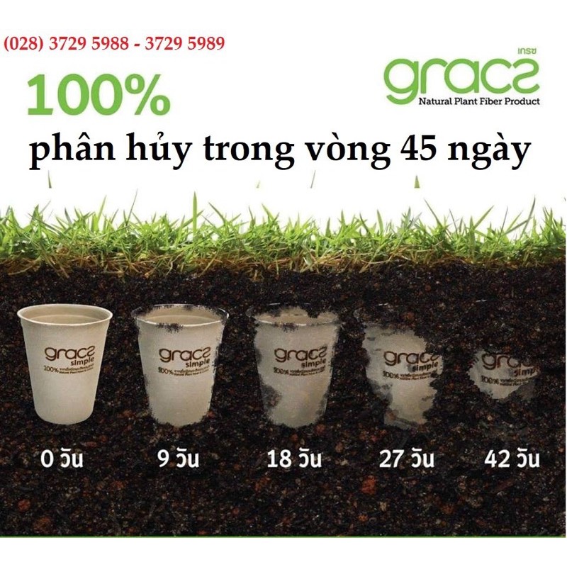 Đĩa tròn bã mía Thái Lan ~25.4cm (50 cái/xấp) - thương hiệu Gracz