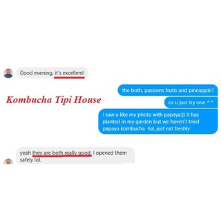 Scoby - nấm thủy sâm, làm dấm trà Kombucha