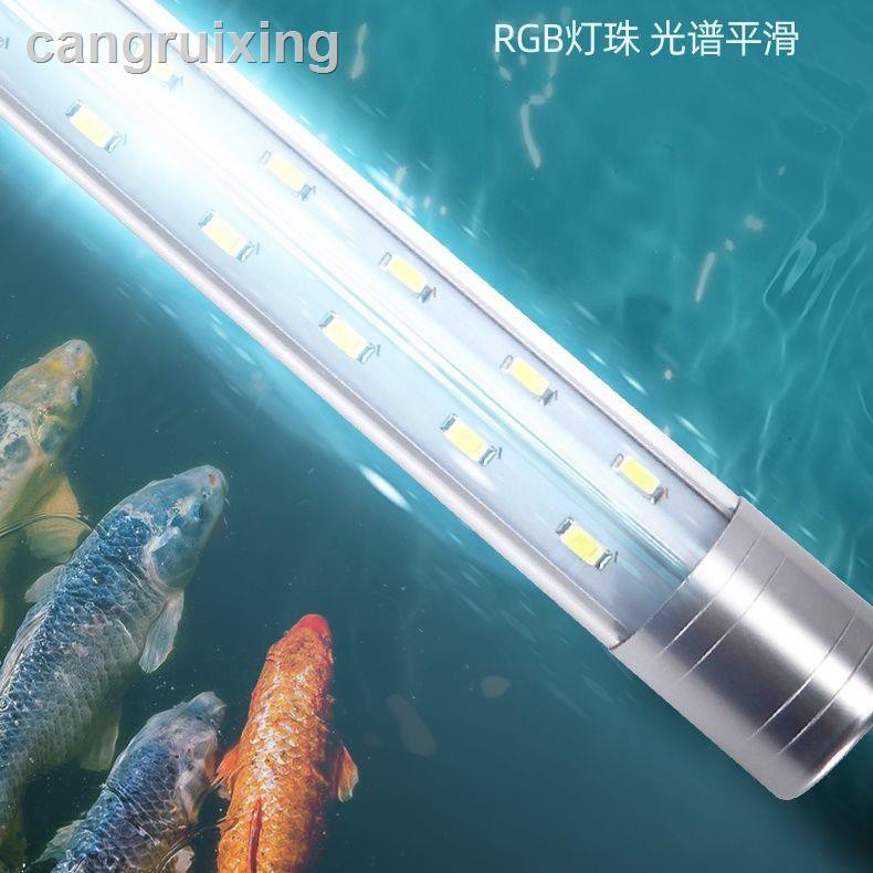 Đèn Led Chiếu Sáng Dưới Nước Cho Bể Cá