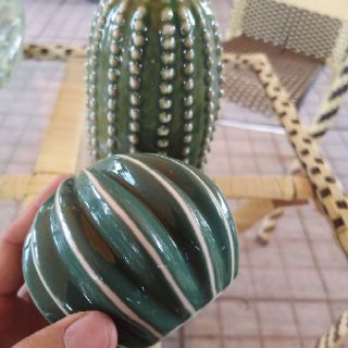 Combo 2 xương rồng sứ