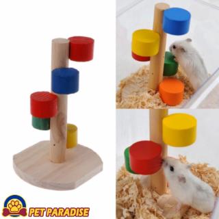 Cầu thang bậc gỗ đầy màu sắc cho chuột hamster ngộ nghĩnh sinh động bắt mắt