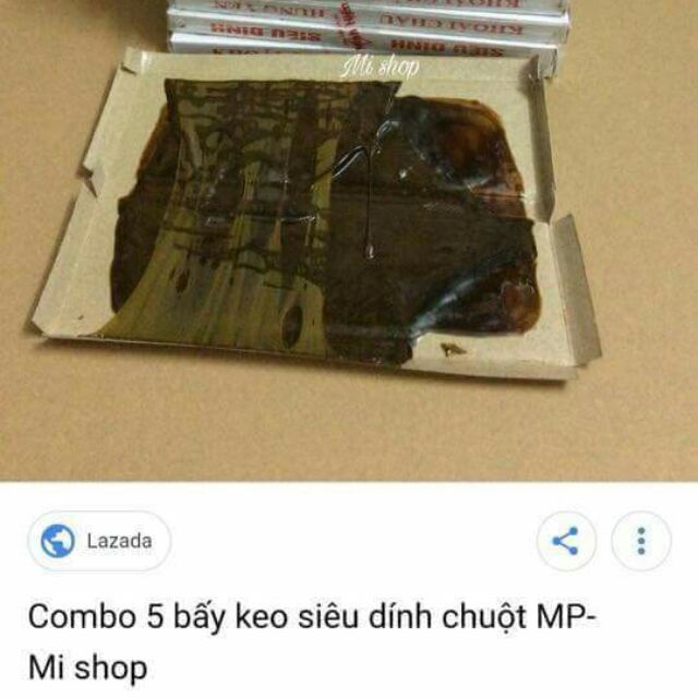 Keo diệt chuột 12 miếng to