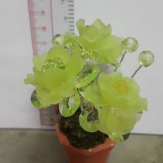 HOA PHA LÊ ĐỂ BÀN