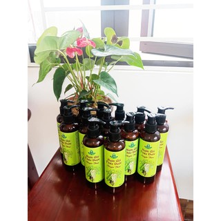 NƯỚC GỘI THẢO DƯỢC HUYỀN THOẠI