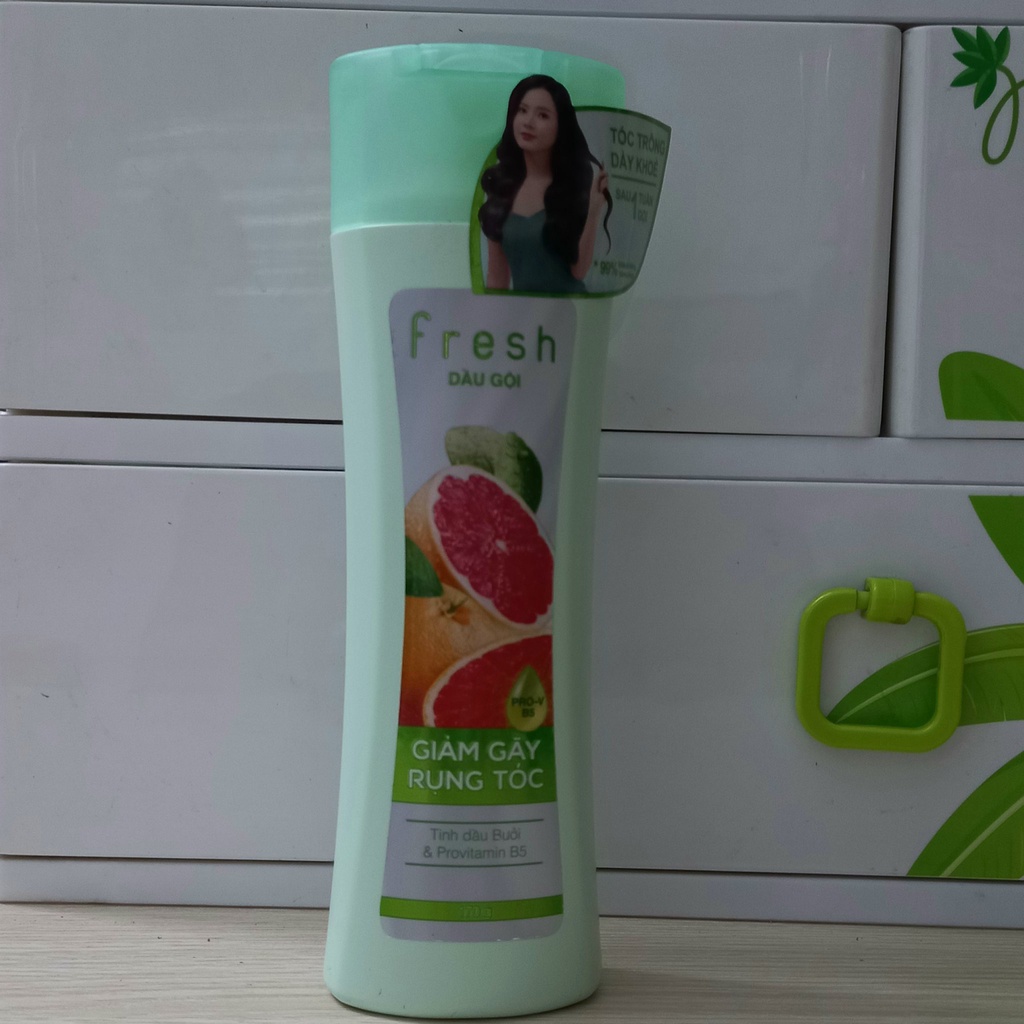 DẦU GỘI FRESH BỒ KẾT SIÊU  MƯỢT ÓNG Ả, TINH DẦU BƯỞI GIẢM GẪY RỤNG TÓC MỸ PHẨM SÀI GÒN 170G - mẫu mới 2023