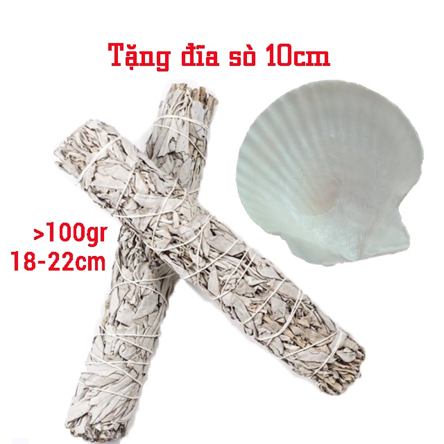 Size Đại  Bó xô thơm trắng KÈM QUÀ TẶNG Giá siêu tốt
