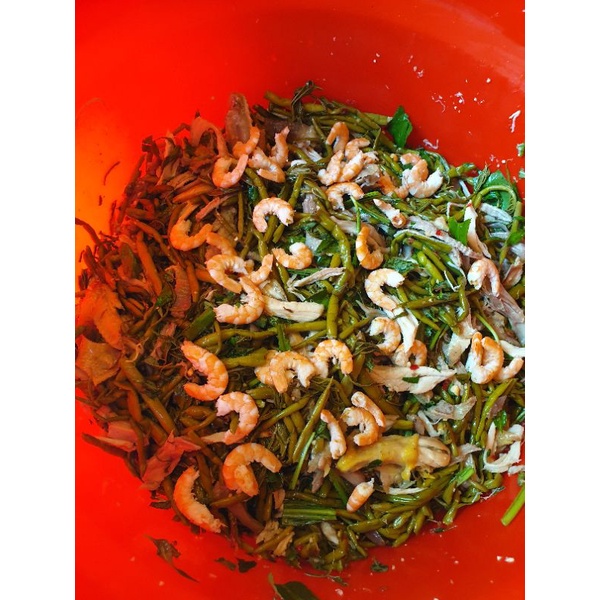 Rau móp chua Củ Chi 1kg (chỉ cân rau không cân nước) | BigBuy360 - bigbuy360.vn