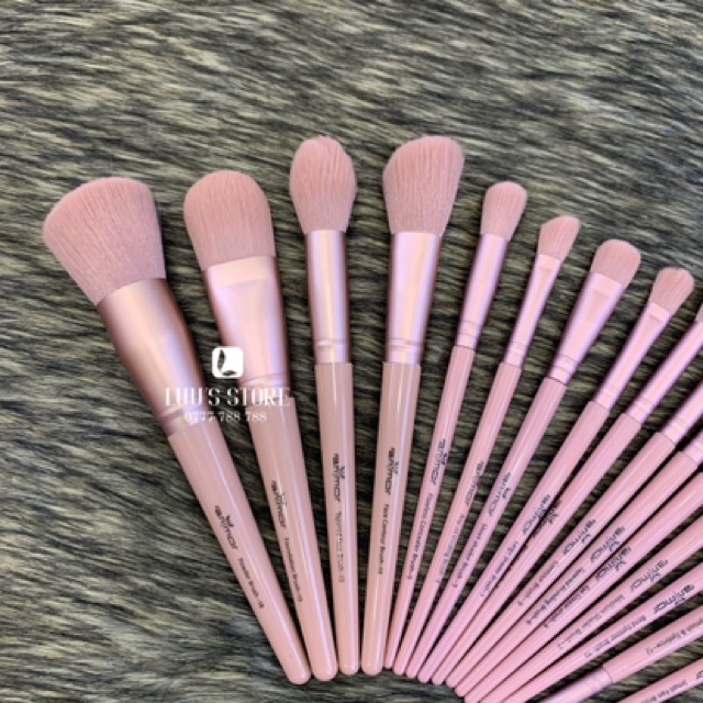 Bộ Cọ Cá Nhân RanMor Ống Hồng 16 cây