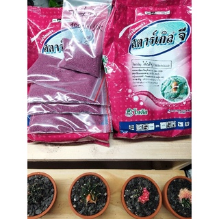 Thuốc tím starkle-g ,100gr