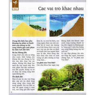 Khám Phá Rừng