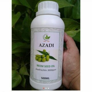 Dầu neem hữu cơ azadi