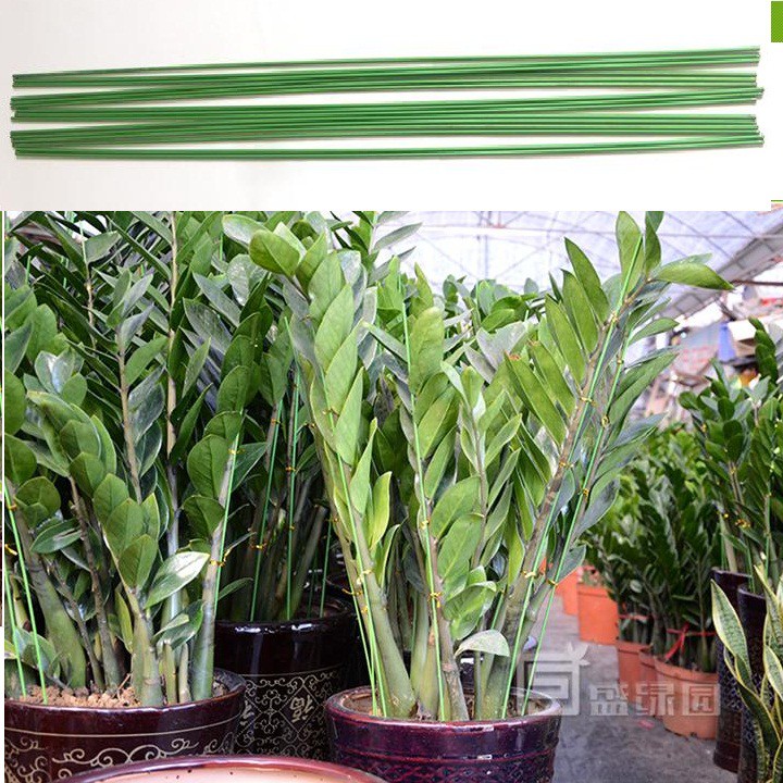 Set 1 kg que thép bọc nhựa màu xanh phi 3.5mm, dài 90cm hoặc 120cm