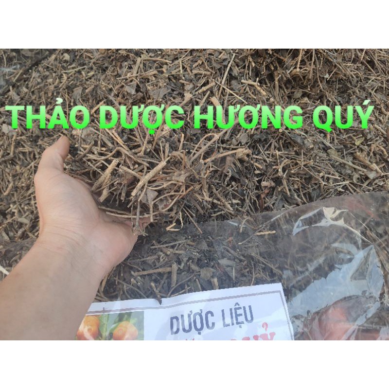 1 KG CÂY MẶT QUỶ KHÔ, SẠCH (TIÊU CHẢY, MẨN NGỨA, MỤN NHỌT)