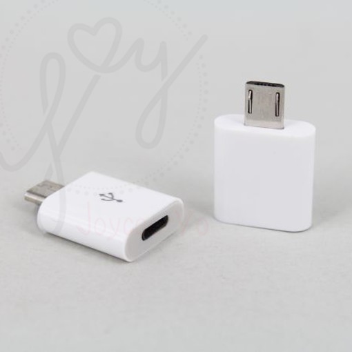 Đầu chuyển sạc cổng Lightning của Apple (iPhone 5 trở lên hoặc iPad) sang cổng Micro Usb hàng chuẩn B153