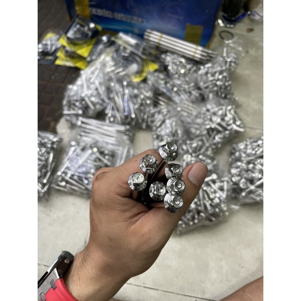 Ốc Lốc Salaya Mẫu thái Sọc Đầu 8