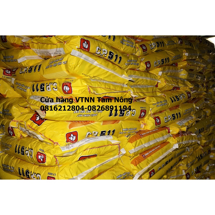 HẠT GIỐNG NGÔ LAI F1_ C.P.511