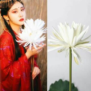Hoa Quỳnh giả ( có ảnh thật) phụ kiện chụp hình cổ trang