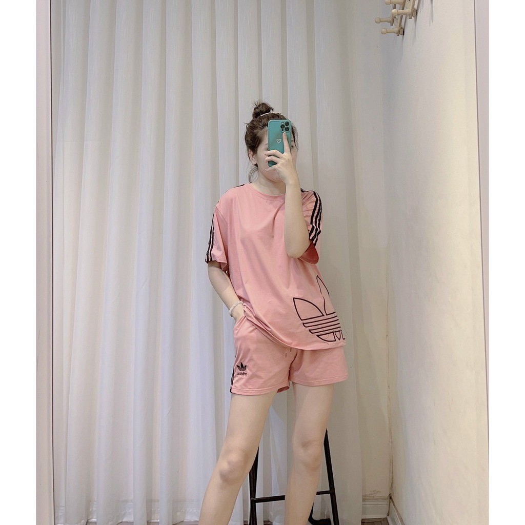 BỘ COTTON ĐÙI PHỐI 3 LÁ HÔNG ÁO BẢNG 4 MÀU CHO NỮ ...