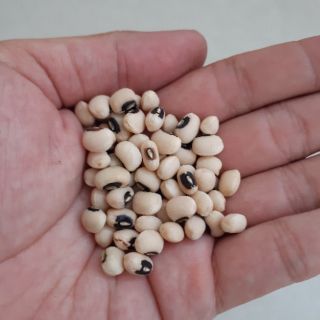 Đậu trắng bi (đậu trắng mắt cua) 500g