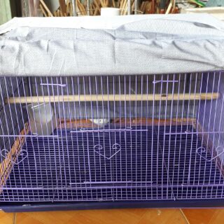 Áo lồng chim Trung Quốc 60*40