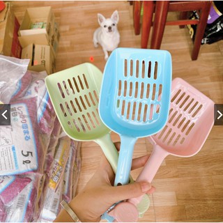 Xẻng hốt phân mèo