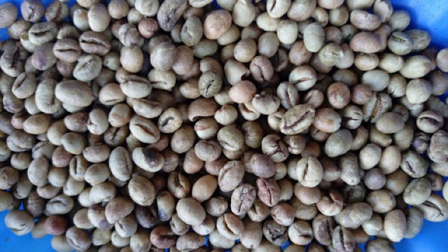 500GR CÀ PHÊ NGUYÊN CHẤT CULI ROBUSTA MỘC | BigBuy360 - bigbuy360.vn