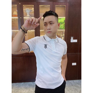 áo polo nam thương hiệu cao cấp