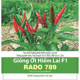 Hạt Giống Ớt Hiểm Lai F1 Rado 789 (gói 0,2g)