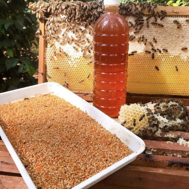 CHAI 1 LÍT #MẬT ONG HOA CÀ PHÊ NGUYÊN CHẤT 100%